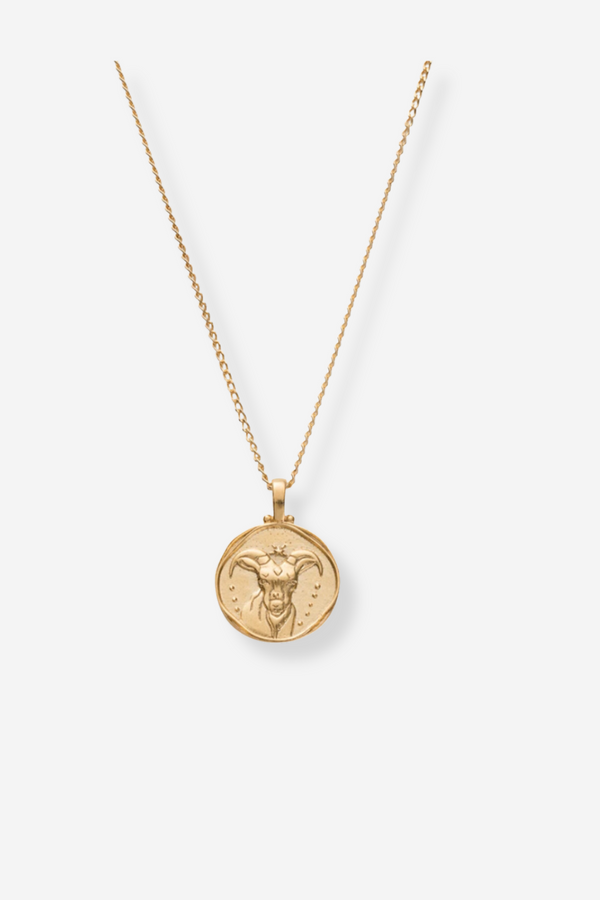 Kirstin Ash Carpricorn Zodiac Necklace - Gold