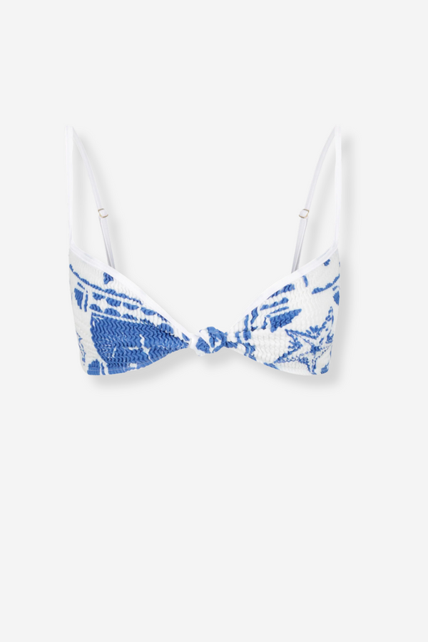Cleonie Swim Bouddi Kini Top - Tropics
