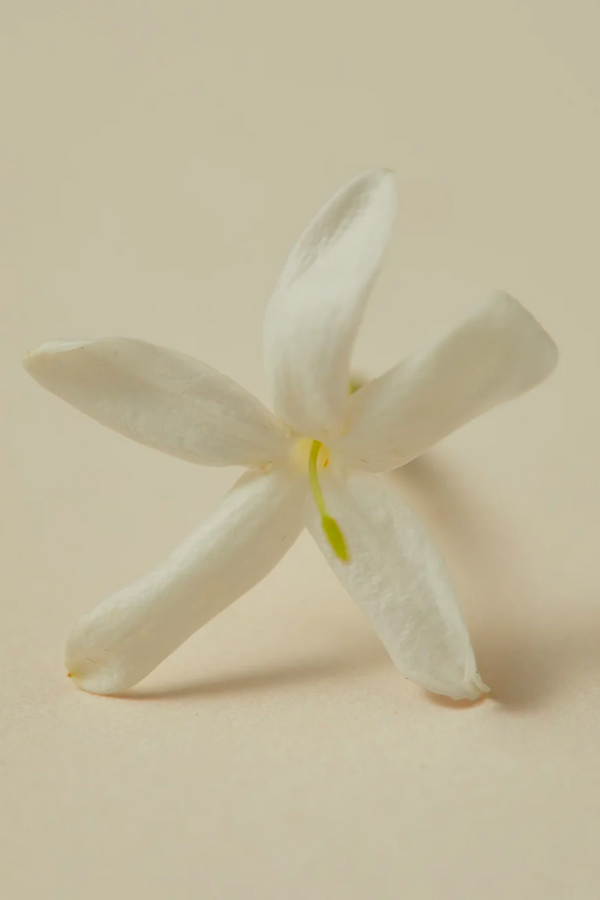 Ayu Ayuverdic Fragrant Oil 30ml - Rumi